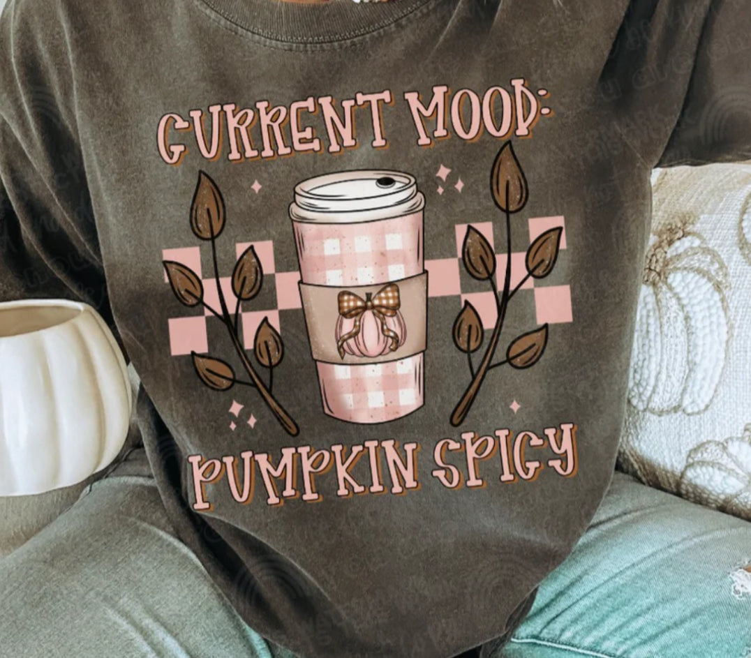 #872 Current mood pumpkin spicy
