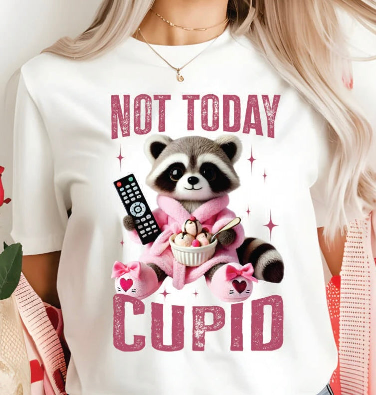 #311a Not today Cupid