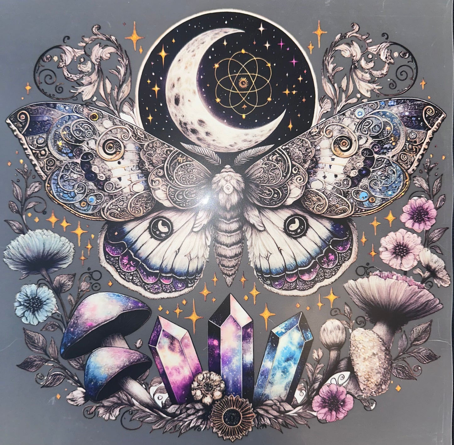 #1088 Butterfly with moon