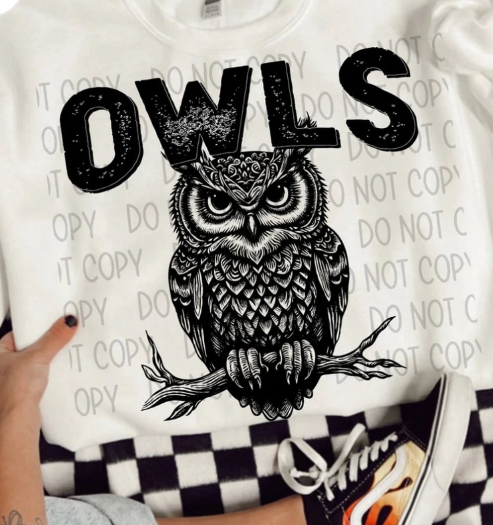 #693 Owls