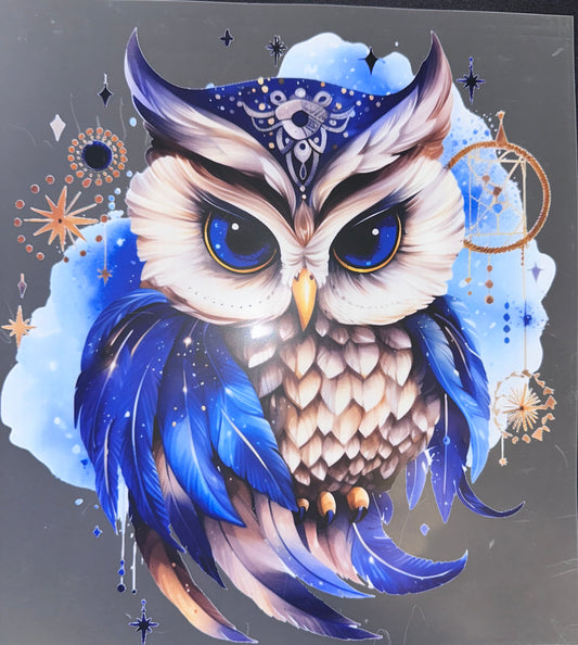 #999 Blue owl