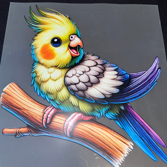 #982 Yellow cockatiel