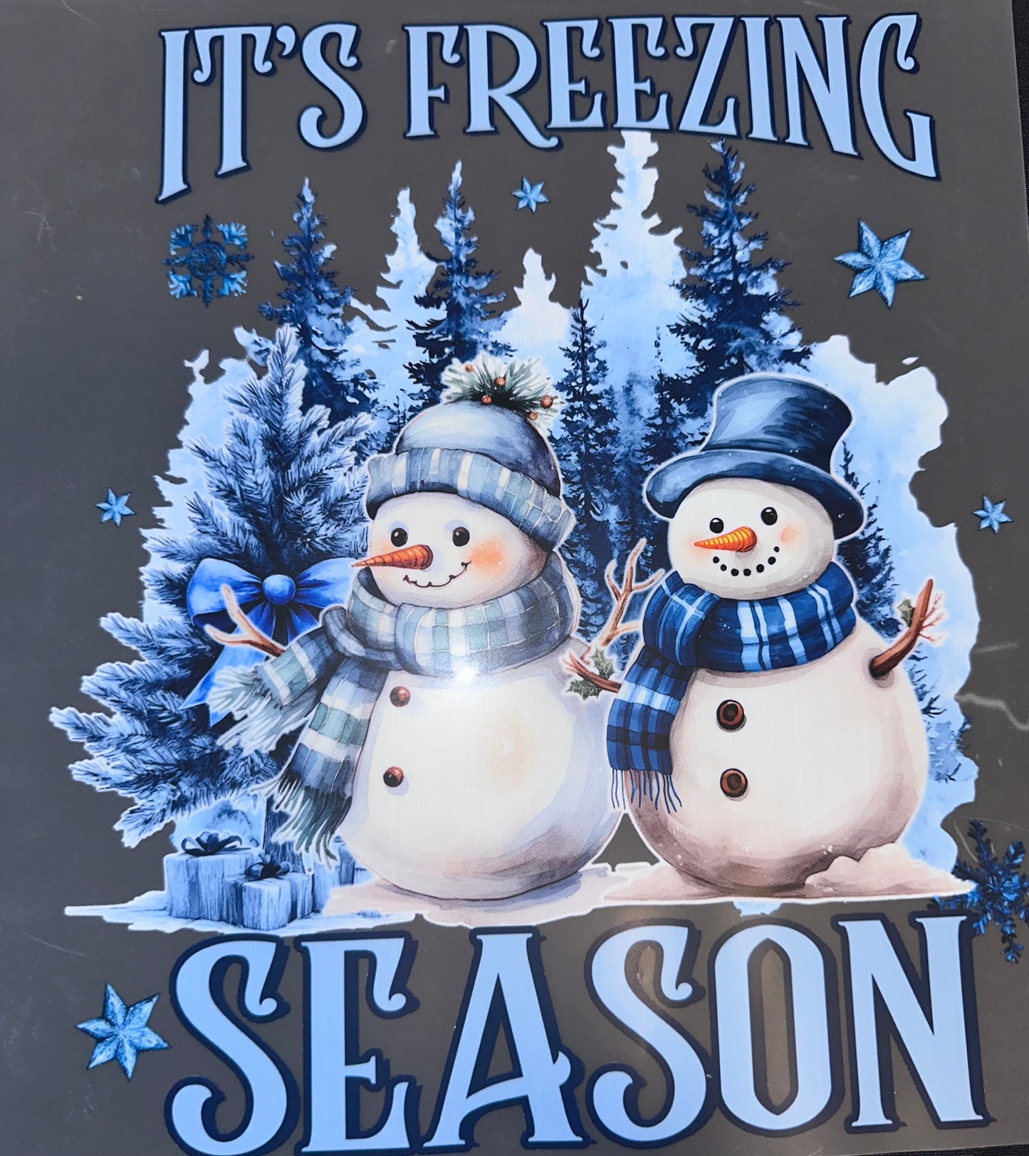 #1071 It’s freezing season