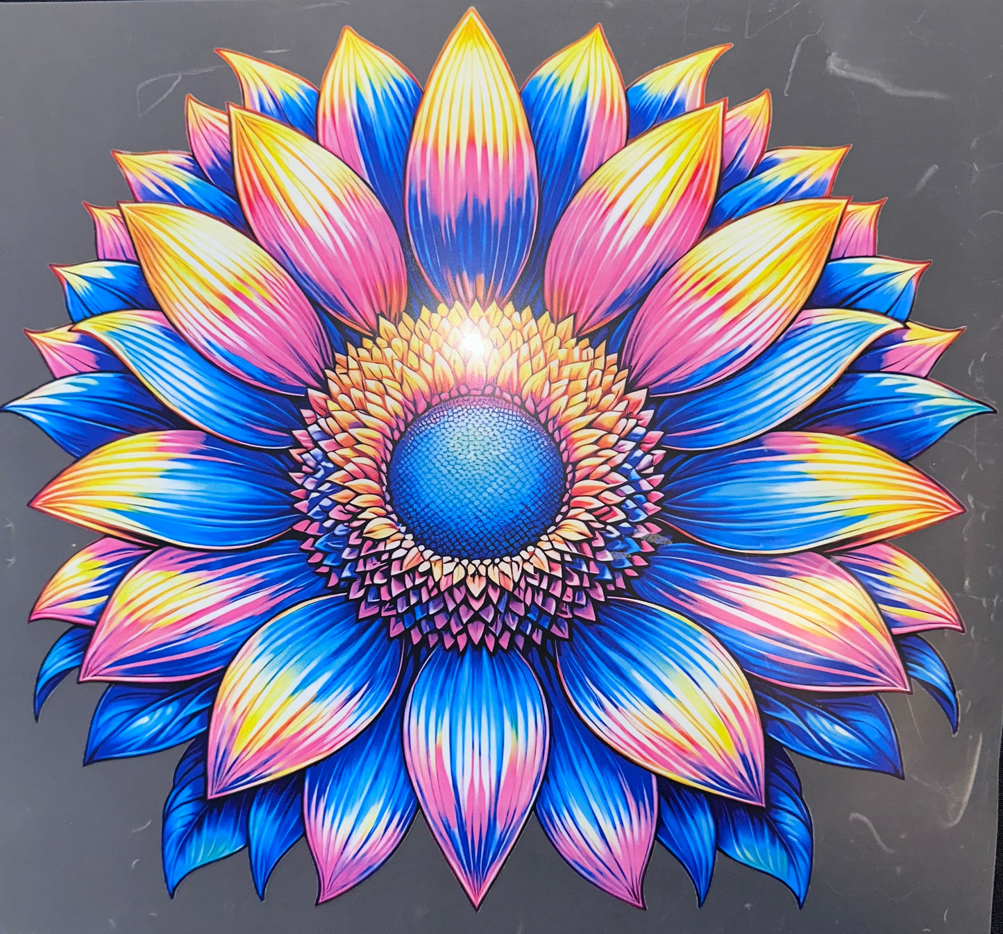 #1017 Colorful flower