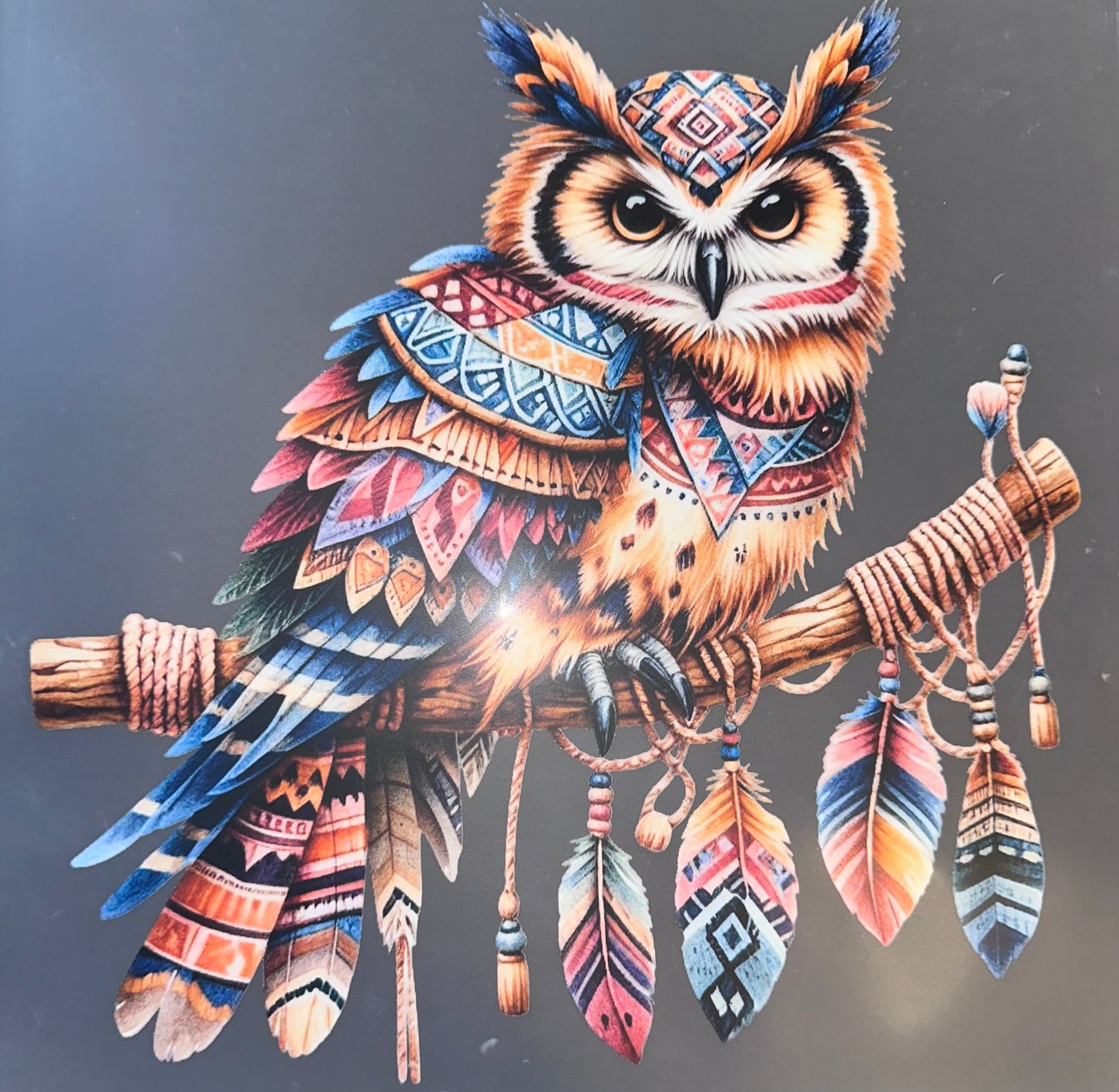 #1039 Owl with feathers