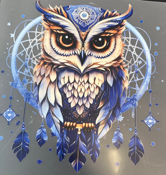 #258a Owl with dream catcher