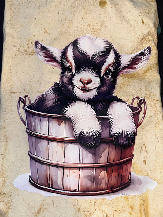 #864 Baby goat