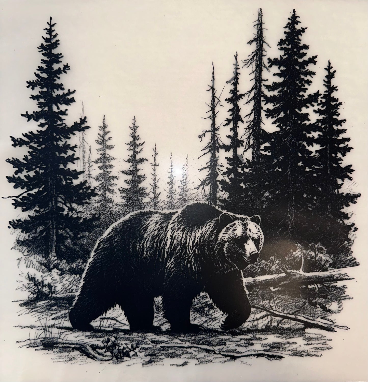 #26A Grizzly bear