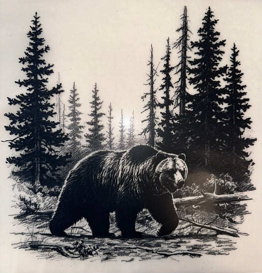 #26A Grizzly bear