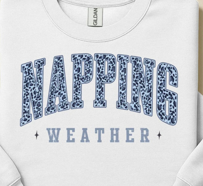 #236a Napping weather